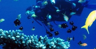  Immersioni in coppia 